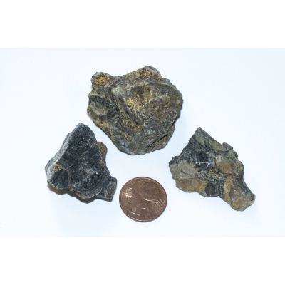 Stromatolite - Bolivia (1)
