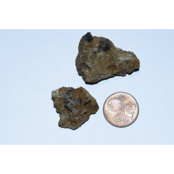 Fluorite-rich Limestone