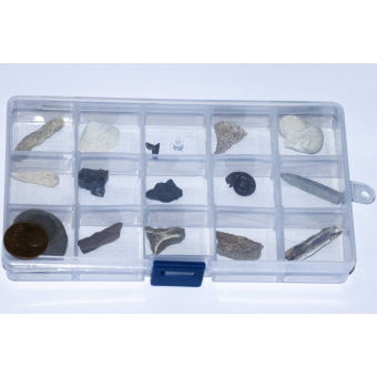 Fossielen verzameling